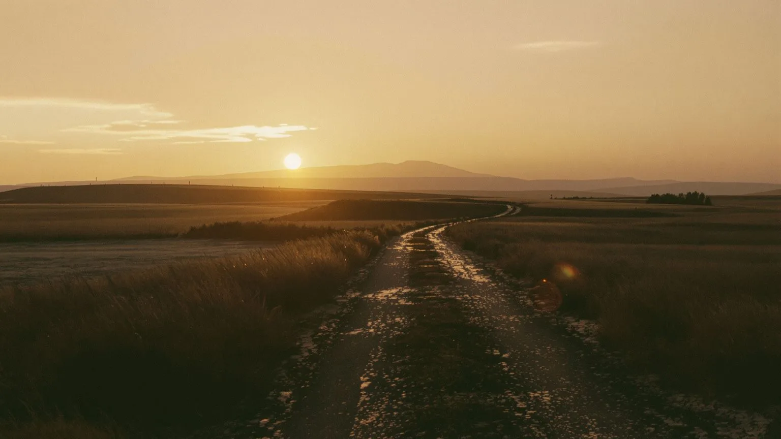 Hero image for the article: What somatic yoga is—and how to try it tonight without forcing anything?